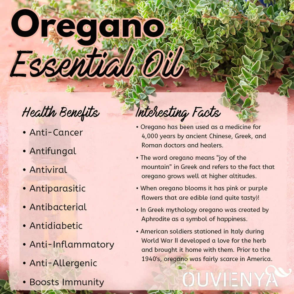 100% Organic 10ml Oregano essential oil from Origanum vulgare effective for body healthy by dilute as topical use or massage